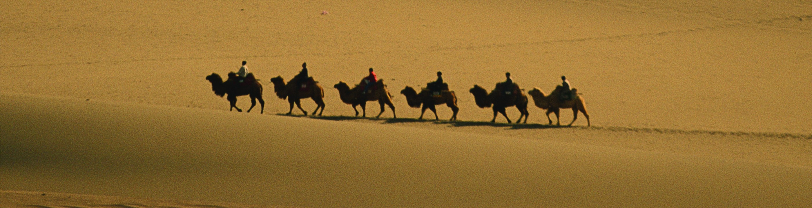 A camel caravan crossing sunlit dunes on the Silk Road